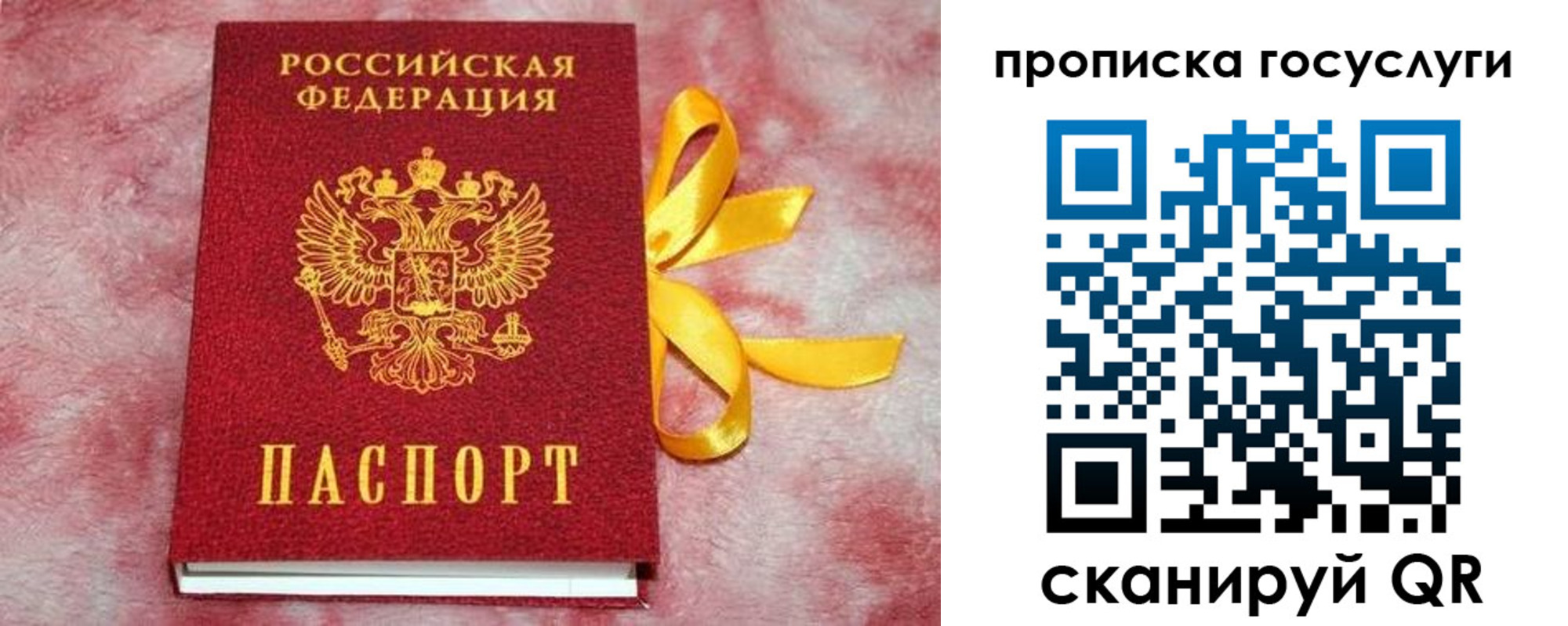 прописка законно в Грозном
